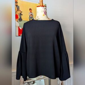 Zara‎ Bell Sleeve Top